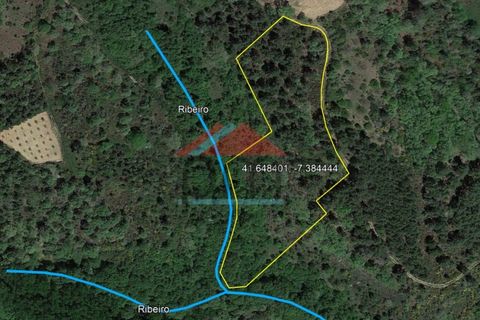 Helårsgrund i Valpacos, Vila Real, Valpacos - € 15.000 | Ref: TE448 - foto 2
