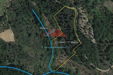 Helårsgrund i Valpacos, Vila Real, Valpacos - € 15.000 | Ref: TE448 - foto 3