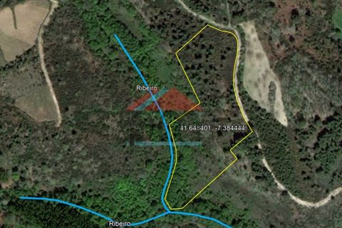 Helårsgrund i Valpacos, Vila Real, Valpacos - € 15.000 | Ref: TE448 - foto 4