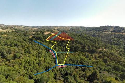 Helårsgrund i Valpacos, Vila Real, Valpacos - € 15.000 | Ref: TE448 - foto 5