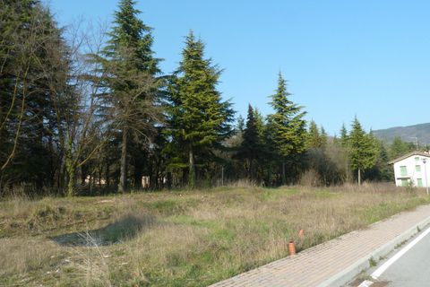Terra a Tregnago, Verona, Tregnago - € 120.000 | Ref: 1999 - foto 5