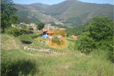 Tomt i Gestaco, Porto, Gestaco - € 1 500 000 | Ref: DO3425AC - foto 6