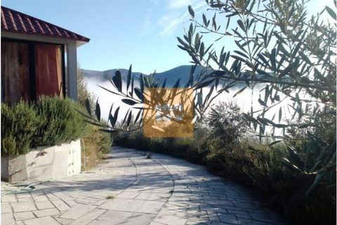 Tomt i Gestaco, Porto, Gestaco - € 1 500 000 | Ref: DO3425AC - foto 7