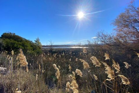 Helårsgrund i Leucate, Aude, Leucate - € 118.000 | Ref: LAPALME-LOT5 - foto 4