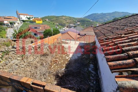 Villa i Vila Real, Vila Real, Vila Real - € 40.000 | Ref: CAS_266 - foto 13