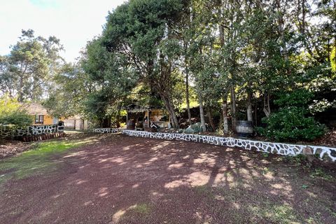 Landejendom i El Tanque, Tenerife, El Tanque - € 450.000 | Ref: C2042 - foto 23