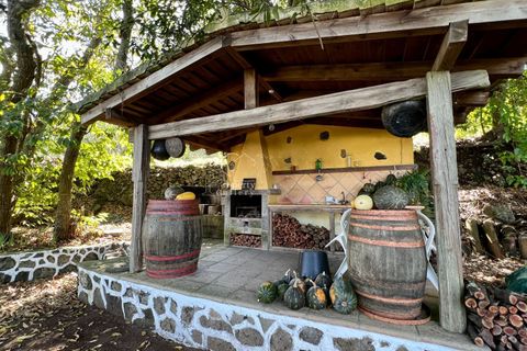 Landejendom i El Tanque, Tenerife, El Tanque - € 450.000 | Ref: C2042 - foto 22
