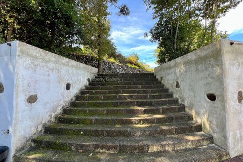 Landejendom i El Tanque, Tenerife, El Tanque - € 450.000 | Ref: C2042 - foto 30