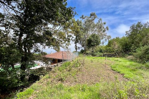 Landejendom i El Tanque, Tenerife, El Tanque - € 450.000 | Ref: C2042 - foto 29