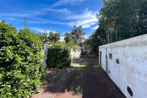 Landejendom i El Tanque, Tenerife, El Tanque - € 450.000 | Ref: C2042 - foto 26