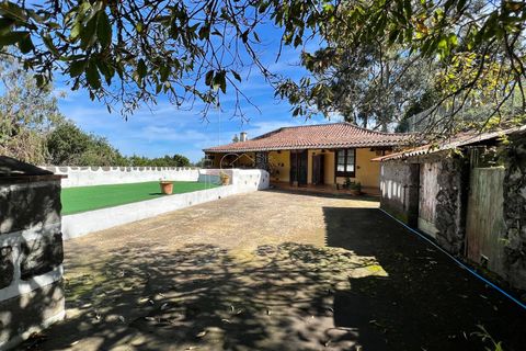 Landejendom i El Tanque, Tenerife, El Tanque - € 450.000 | Ref: C2042 - foto 32