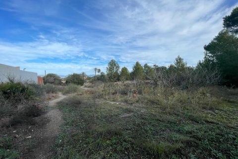 Helårsgrund i Llucmajor, Mallorca, Llucmajor - € 2.700.000 | Ref: 78287 - foto 2