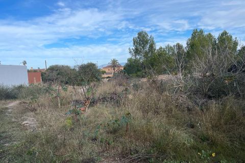 Helårsgrund i Llucmajor, Mallorca, Llucmajor - € 2.700.000 | Ref: 78287 - foto 4