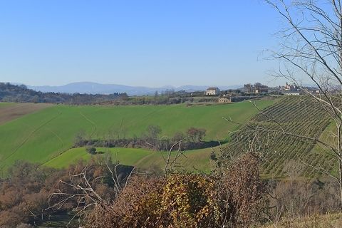 Villa a Monterubbiano, Fermo, Monterubbiano - € 175.000 | Ref: mc1- 40405 - foto 9
