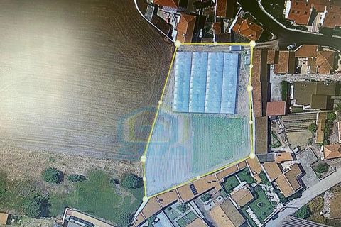 Helårsgrund i A dos Cunhados e Maceira, Lisbon, A dos Cunhados e Maceira - € 350.000 | Ref: TER_148 - foto 2