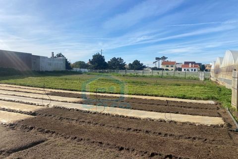 Helårsgrund i A dos Cunhados e Maceira, Lisbon, A dos Cunhados e Maceira - € 350.000 | Ref: TER_148 - foto 4