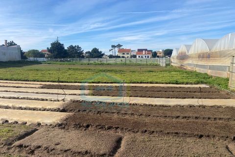 Helårsgrund i A dos Cunhados e Maceira, Lisbon, A dos Cunhados e Maceira - € 350.000 | Ref: TER_148 - foto 5
