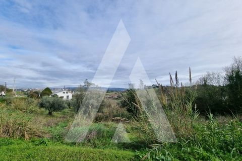 Helårsgrund i Coimbra, Coimbra, Coimbra - € 125.000 | Ref: 1120992/23CB - foto 13