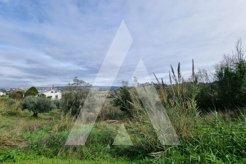 Helårsgrund i Coimbra, Coimbra, Coimbra - € 125.000 | Ref: 1120992/23CB - foto 16