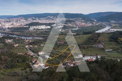 Helårsgrund i Coimbra, Coimbra, Coimbra - € 125.000 | Ref: 1120992/23CB - foto 22