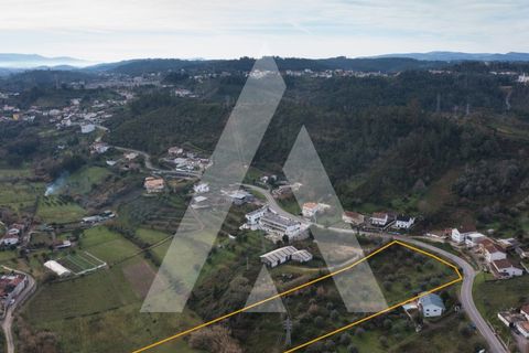 Helårsgrund i Coimbra, Coimbra, Coimbra - € 125.000 | Ref: 1120992/23CB - foto 24