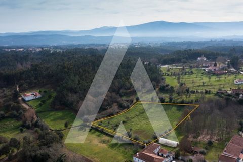 Terra a Arrifana, Aveiro, Arrifana - € 24.900 | Ref: 1121050/24CB - foto 2