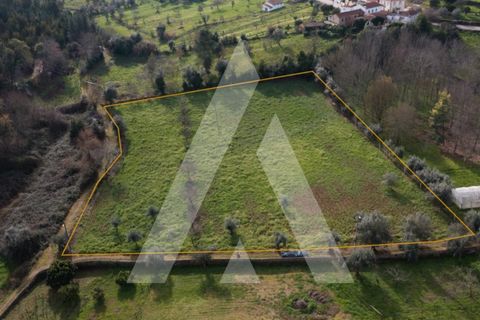 Terra a Arrifana, Aveiro, Arrifana - € 24.900 | Ref: 1121050/24CB - foto 3