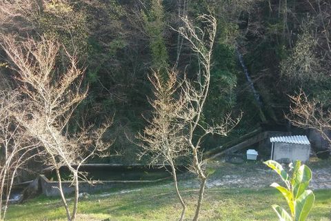 Villa i Sospel, Alpes-Maritimes, Sospel - € 1.800.000 | Ref: A5177 - foto 3
