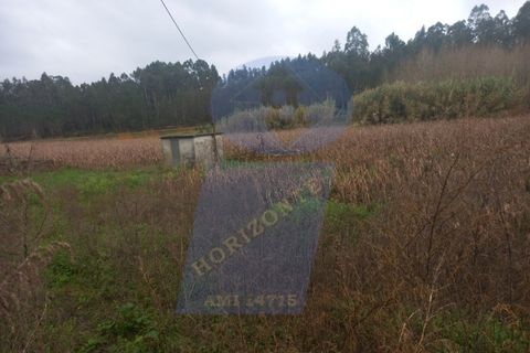 Helårsgrund i Anadia, Aveiro, Anadia - € 35.000 | Ref: TER_VP_977 - foto 3