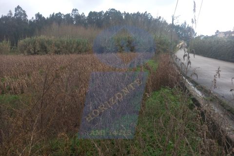 Helårsgrund i Anadia, Aveiro, Anadia - € 35.000 | Ref: TER_VP_977 - foto 5