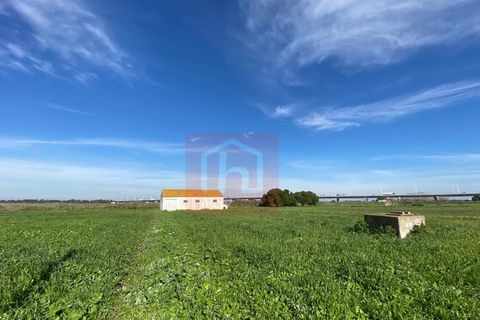 Tomt i Samouco, Setubal, Samouco - € 225 000 | Ref: HA483 - foto 10