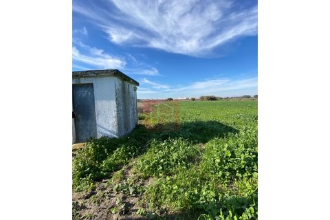 Tomt i Samouco, Setubal, Samouco - € 225 000 | Ref: HA483 - foto 6