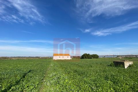Tomt i Samouco, Setubal, Samouco - € 225 000 | Ref: HA483 - foto 2