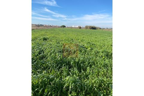 Tomt i Samouco, Setubal, Samouco - € 225 000 | Ref: HA483 - foto 11