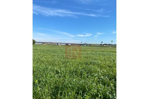 Tomt i Samouco, Setubal, Samouco - € 225 000 | Ref: HA483 - foto 12