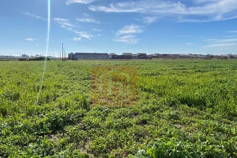 Tomt i Samouco, Setubal, Samouco - € 225 000 | Ref: HA483 - foto 21