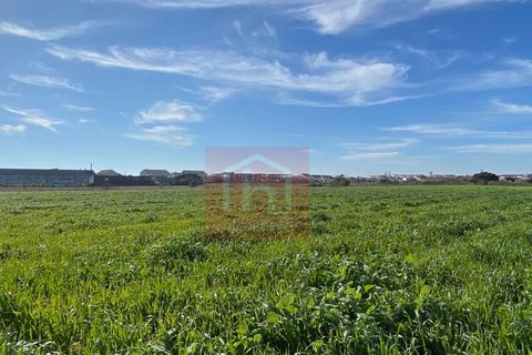 Tomt i Samouco, Setubal, Samouco - € 225 000 | Ref: HA483 - foto 9