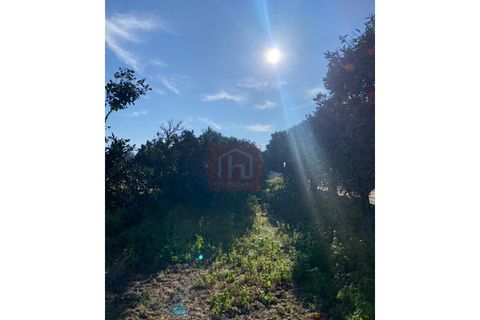Helårsgrund i Alcochete, Setubal, Alcochete - € 125.000 | Ref: HA484 - foto 3