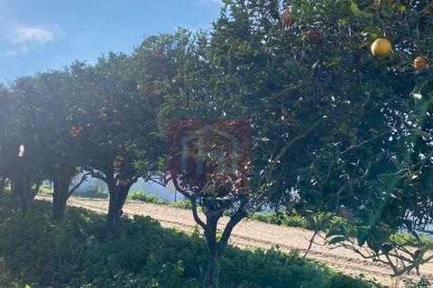 Helårsgrund i Alcochete, Setubal, Alcochete - € 125.000 | Ref: HA484 - foto 2