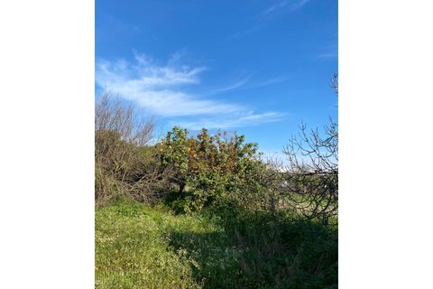 Helårsgrund i Alcochete, Setubal, Alcochete - € 125.000 | Ref: HA484 - foto 10