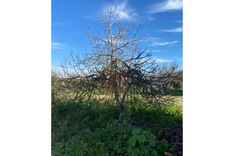 Helårsgrund i Alcochete, Setubal, Alcochete - € 125.000 | Ref: HA484 - foto 11