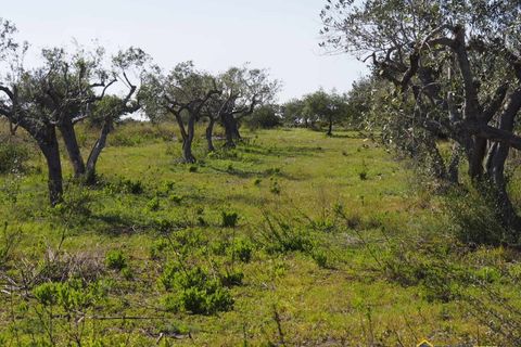 Helårsgrund i Noto, Siracusa, Noto - € 95.000 | Ref: Vendicari - foto 10