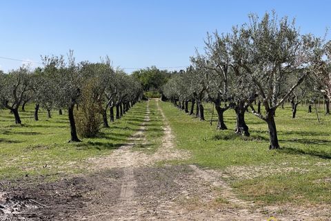 Helårsgrund i Noto, Siracusa, Noto - € 95.000 | Ref: Vendicari - foto 9