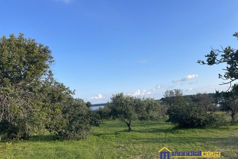 Helårsgrund i Noto, Siracusa, Noto - € 95.000 | Ref: Vendicari - foto 13