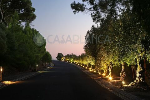 Villa i Alcabideche, Lisbon, Alcabideche - € 1.800.000 | Ref: MOC0041 - foto 34