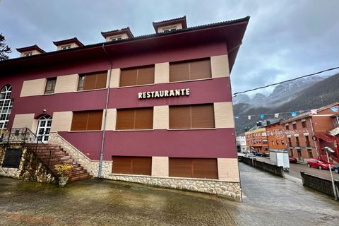 Erhvervsejendom i Aller, Asturias, Aller - € 1.000.000 | Ref: QPE00271/10606 - foto 1
