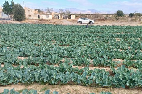 Cortijo i Huercal-Overa, Almeria, Huercal-Overa - € 50.000 | Ref: R22259 - foto 5