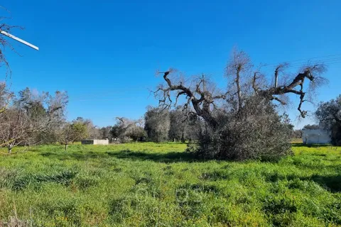 Villa a Oria, Brindisi, Oria - € 55.000 | Ref: V668 - foto 9