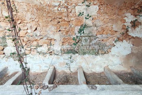 Farm hus i Martignano, Lecce, Martignano - € 250.000 | Ref: CA598 - foto 6
