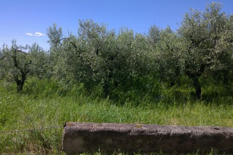 Terra a Eboli, Salerno, Eboli - € 85.000 | Ref: 162 - foto 2